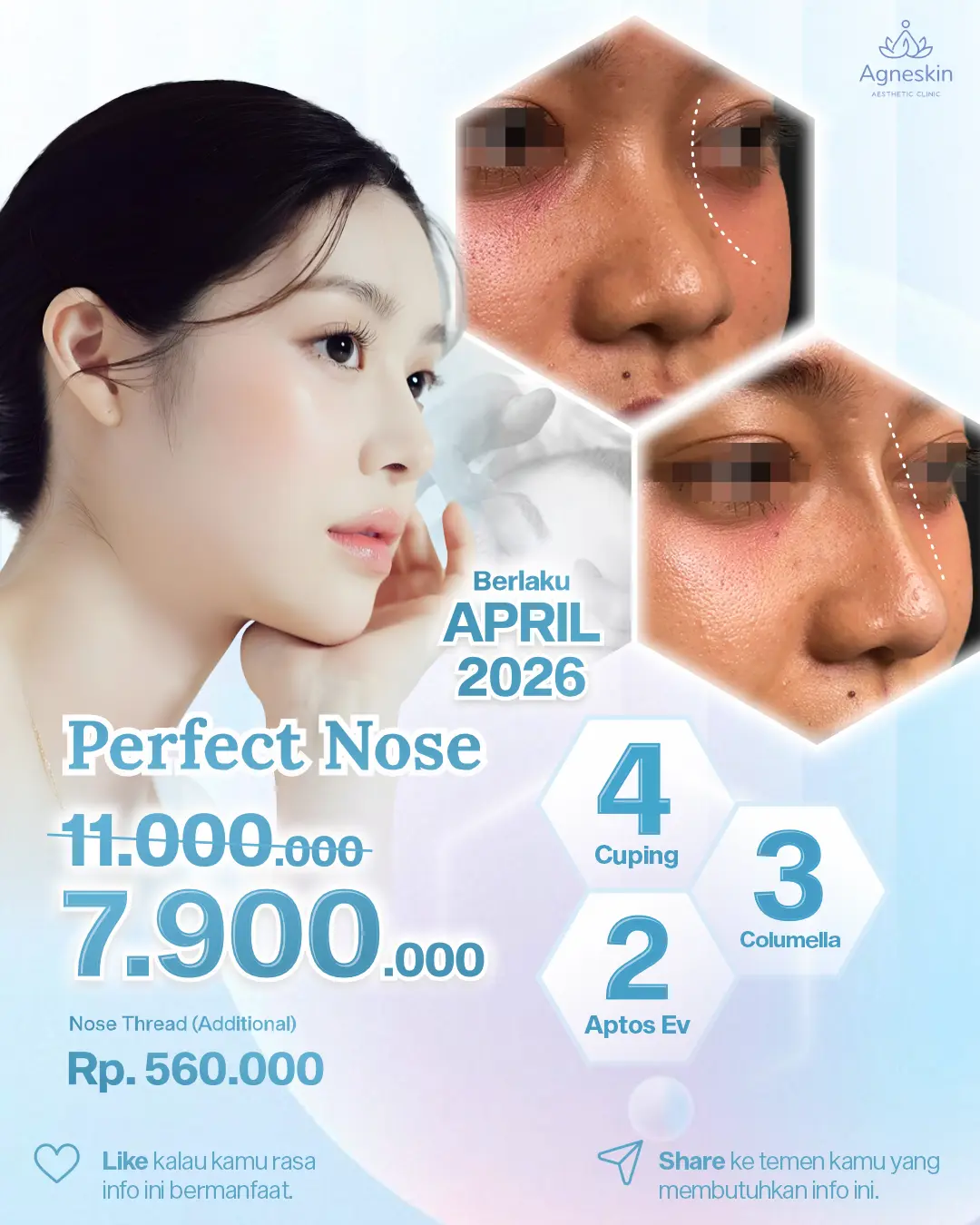 Promo Perfect Nose